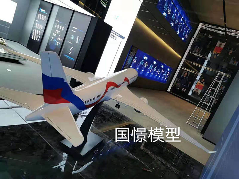 巴青县飞机模型